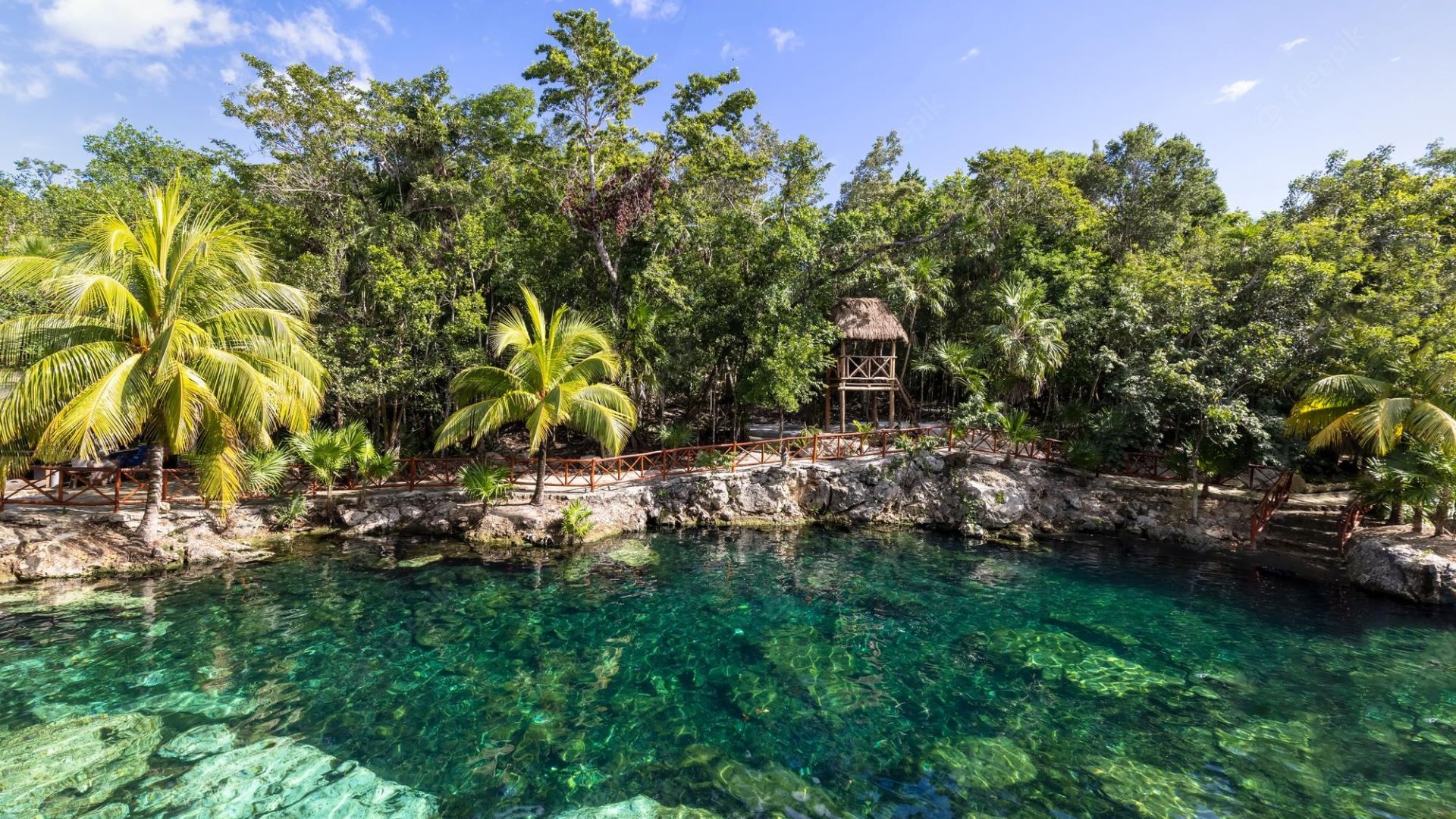 Tours de cenotes en Tulum