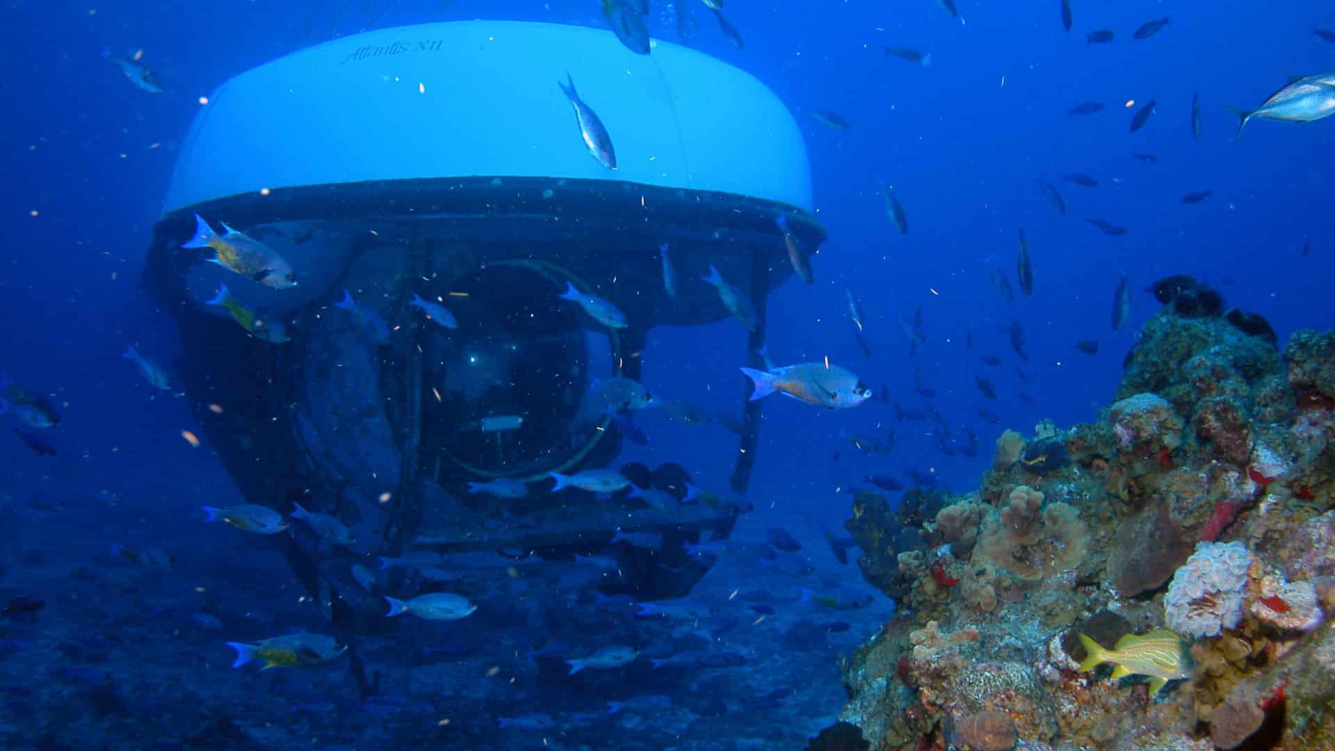 Paisaje submarino capturado durante el tour del submarino Atlantis.