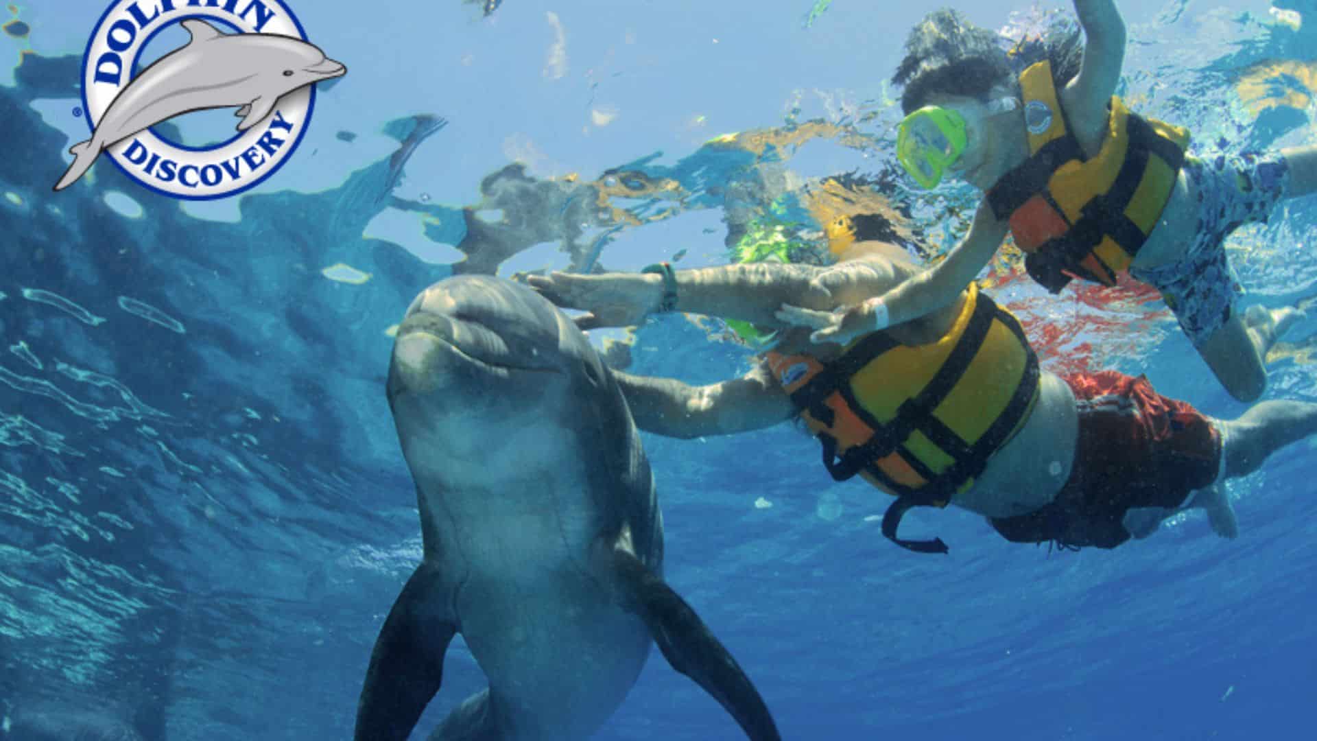 Delfines en Isla Mujeres