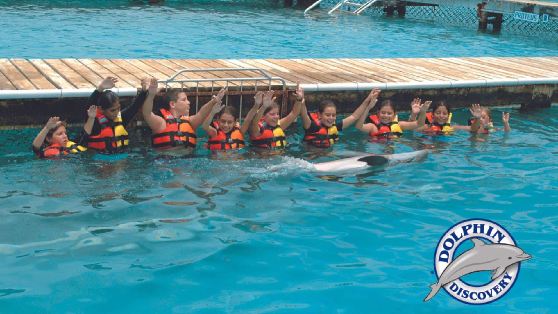 Grupo de turistas disfrutando de un nado con delfines