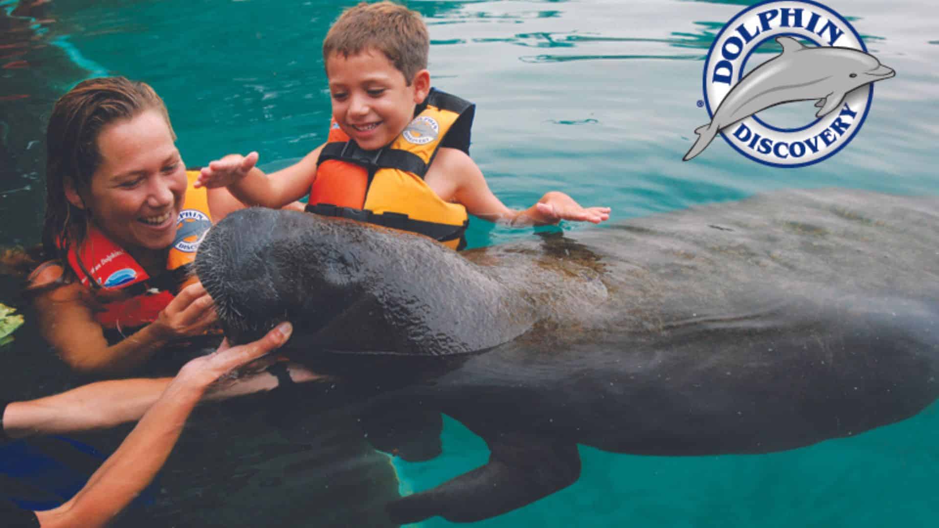 Delfín interactuando con un niño durante un tour"