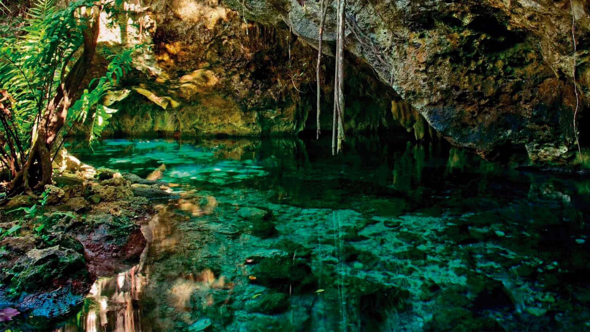 Tour a Tulum 4x1 - Cenotes