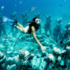 Isla Mujeres en Catamarán + Excursión a Chichén Itzá + Cozumel en Catamarán + Excursión a Tulum 4×1