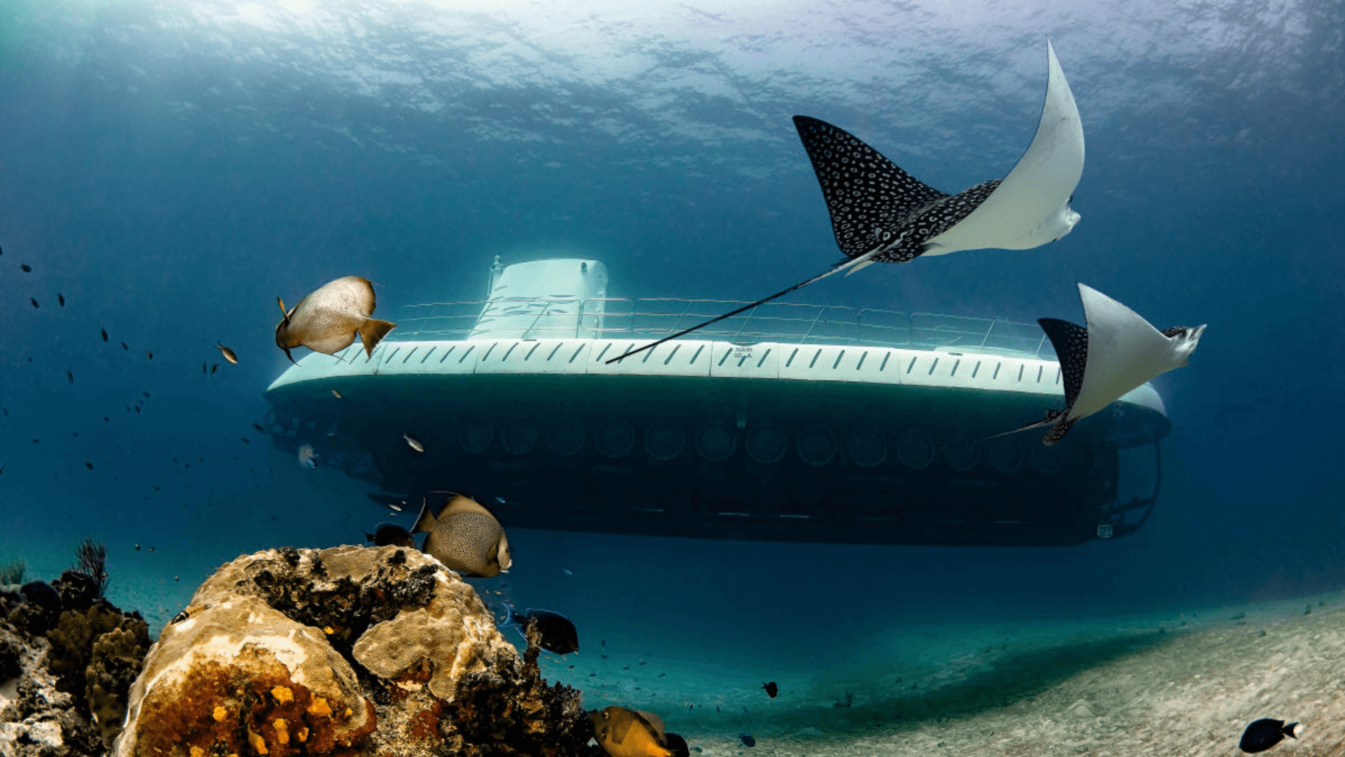 Submarino Atlantis explorando las profundidades de Cozumel.