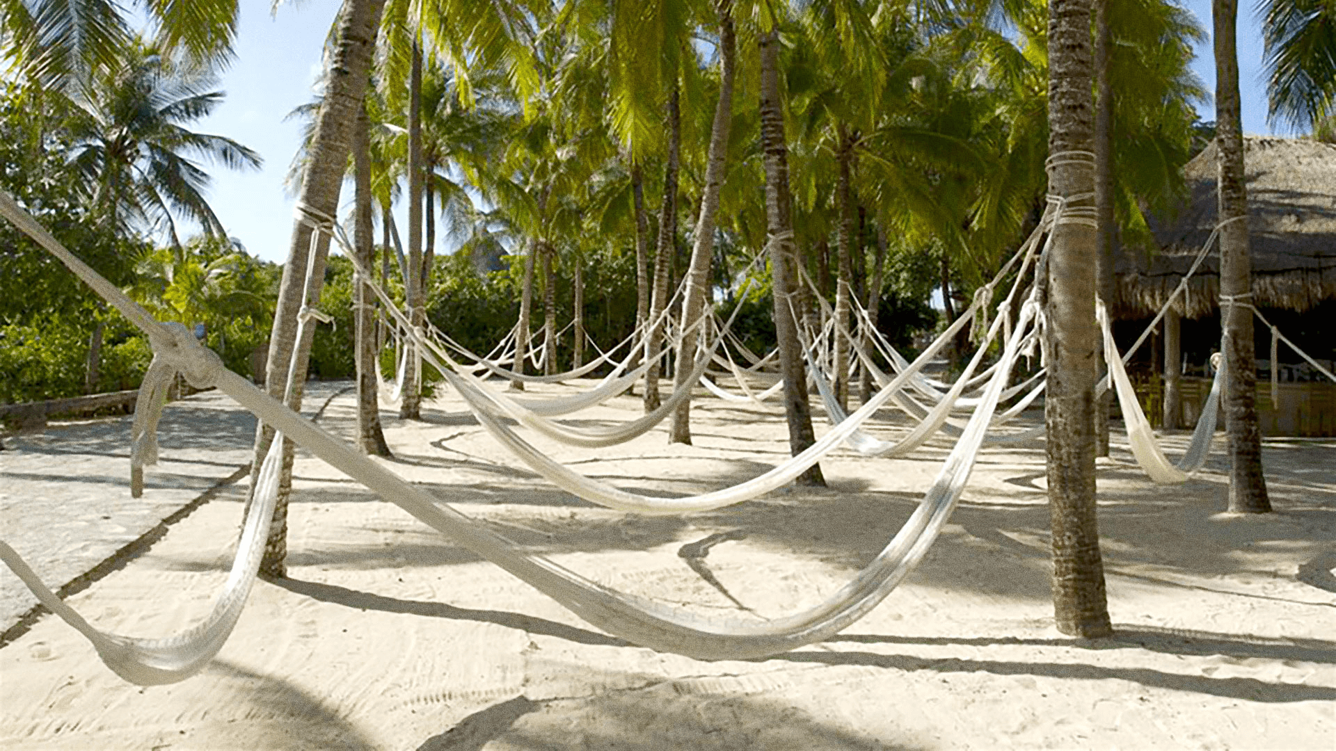 Relax en la Isla de las Hamacas en Xel-Há Todo Incluido.